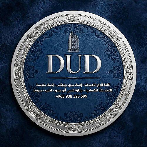 شركة DUD لاديكور