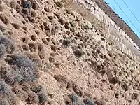 أرض سياحية للبيع في مركز الزبداني - 3200 م² بسعر مغري