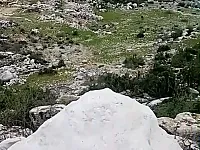 للبيع أرض مساحة 9دونم و300 متر _ناحية صلنفة_قرية بلتعا