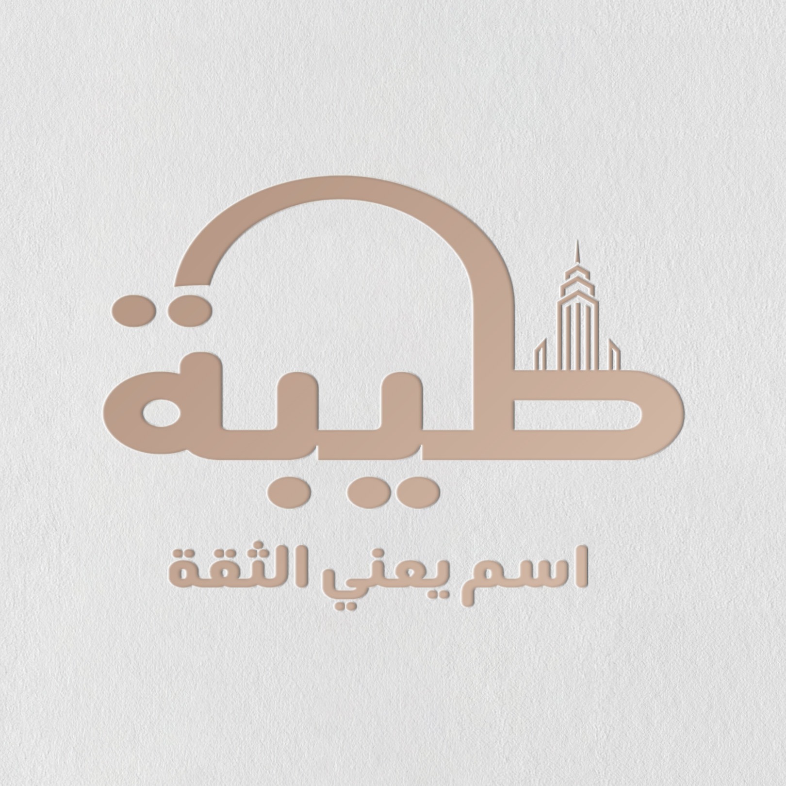 طيبة للعقارات