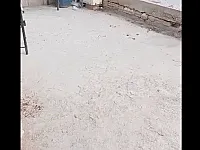 شقة طابقين الدرج داخلي للبيع 