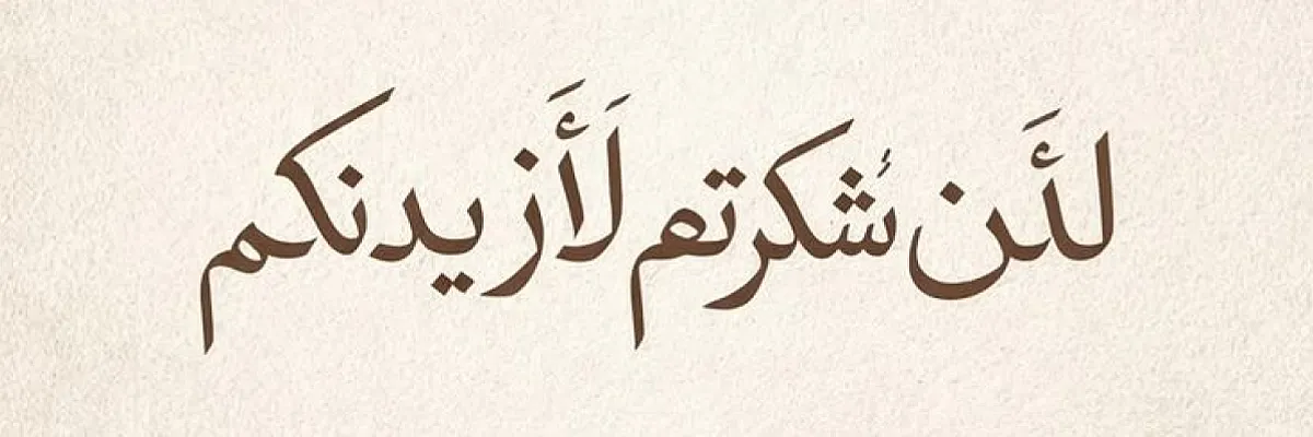 فارس عبد الحميد هلال Cover