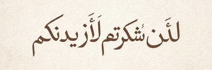 فارس عبد الحميد هلال Cover