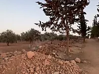 ارض زراعية للبيع - الباب - طريق الأزرق
