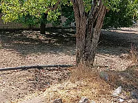 أرض زراعية للبيع في سهل الزبداني 2480 م² بسعر مغري