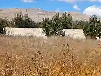 أرض زراعية للبيع في مركز الزبداني - 2300 م²