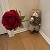 صورة المستخدم