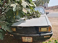 بيك اب داسيا 1304 للبيع  1993 بسعر 1300$