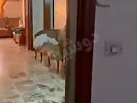 شقة للبيع في البرامكة، 5 غرف، 140م²، اطلالة رائعة