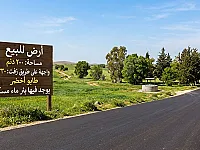 للبيع أرض 200 دنم الهيجانة ريف دمشق - طابو أخضر