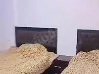 للايجار السياحي في منطقه شارع بغداد   يومي شهري اسبوعي 