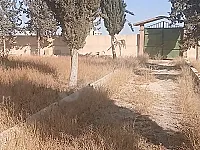 ارض مسورا للبيع طريق لمطار جسر ٥ جنب مطعم الف ليلا وليلا طابو اخضر